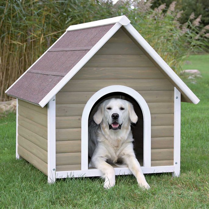 DOGHOUSE PIC